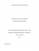 ESCUELA SUPERIOR DE ADMINISTRACIÓN PÚBLICA “ESAP” PROGRAMA DE ADMINISTRACIÓN PÚBLICA TERRITORIAL