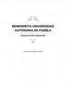 BENEMERITA UNIVERSIDAD AUTÓNOMA DE PUEBLA.