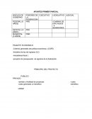 APUNTES PRIMER PARCIAL.