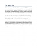 Factores Estratégicos para Lograr el Éxito Internacional