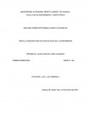 ANALISIS SOBRE LAS REFORMAS CONSTITUCIONALES.