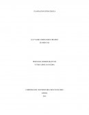 Explique en que consiste la planeación estratégica como una forma de planeación