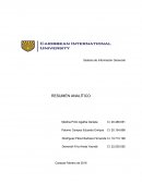 El Sistema de Información Organizacional