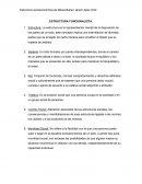 Conceptos Básicos Estructura Funcionalista.