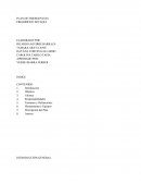 PLAN DE EMERGENCIAS FRIGORIFICO SOTAQUI