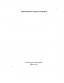 Crédito Bancario Ventajas y Desventajas.