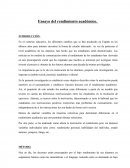 Ensayo del rendimiento académico.