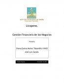 Tema: Trabajo final creditos solidarios