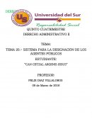 SISTEMA PARA LA DESIGNACIÓN DE LOS AGENTES PÚBLICOS ESTUDIANTE.