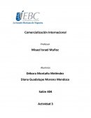 Comercialización Internacional