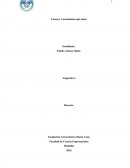 La historia de las Cosas (Ensayo)