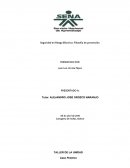 Seguridad en Riesgo Eléctrico: Filosofía de prevención.
