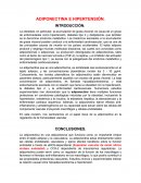 Adiponectina e hipertensión