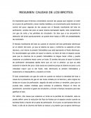 RESUMEN: CAUSAS DE LOS BROTES.