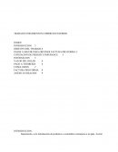 TRABAJO FUNDAMENTOS COMERCIO EXTERIOR