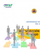 En este reporte presentamos una empresa que ofrece servicios de capacitación y adiestramiento a los profesionales de la salud y a todo el público en general que esté interesado en adquirir conocimientos de soporte básico de vida, seguridad industrial 