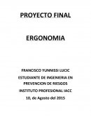 PROYECTO FINAL DE ERGONOMIA. análisis de las condiciones ergonómicas