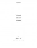 IMPORTANCIA DE LAS CIENCIA SOCIALES.