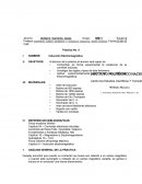 Practica 4 fisica iv voca 11