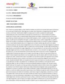 Volar sobre el pantano.