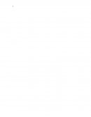 Casas abandonadas, Torreón