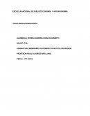 SEMINARIO DE PERSPECTIVA DE LA PROFESION