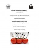 PRINCIPIO PRECAUTORIO DE LOS TRANSGÉNICOS.