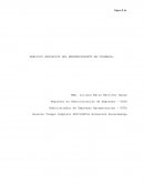 ANÁLISIS REFLEXIVO DEL EMPRENDIMIENTO EN COLOMBIA.
