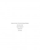 La ley decreta un sin número de normas para todo aquellos trabajadores que desempeñen la seguridad a su funciones, lo cual día a día nos vemos enfrentado a diferentes tipo de agentes biológicos.