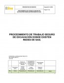 PROCEDIMIENTO DE TRABAJO SEGURO DE EXCAVACIÓN DONDE EXISTEN REDES DE GAS.