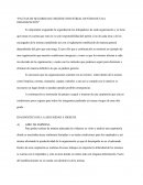 Pautas de seguridad e higiene industrial dentro de una organización