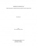Etapas Psicosexuales y el Modelo Estructural de la Mente de acuerdo a Sigmund Freud