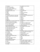 Las celulas. Células eucariontes y procariontes