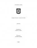 Noviazgo y emociones – Instituto de la Familia