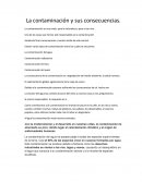 La contaminación y sus consecuencias.