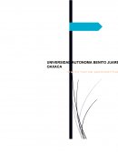 Sismos- El video está enfocado a la ciudad de México y más que nada a su suelo.