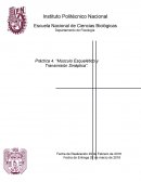 Fisiología- Músculo Esqueletico y Transmisión Sinaptica.