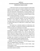 CAPÍTULO I Formulación del problema y delimitación del campo de estudio