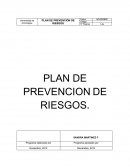 Plan de prevención de riesgos.