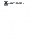 MANUAL DE PROCEDIMIENTOS PARA REPORTES ANTE LA DIRECCION DE IMPUESTOS Y ADUANAS NACIONALES – DIAN –.