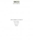 EL Definir el concepto de Aspecto Ambiental e Impacto Ambiental, y escribir 5 ejemplos de cada uno.
