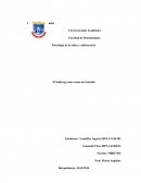 Psicología de la niñez y adolescencia. El bullying como causa del suicidio