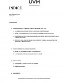 CONSECUENCIAS DE LAS CONDICIONALIDADES DEL FMI Y EL MODELO ECONÓMICO DE LA PARIDAD UNO A UNO.