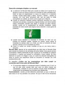 Desarrollar estrategias dirigidas a un mercado