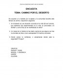 Encuesta - Camino por el desierto