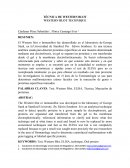 TÉCNICA DE WESTERN BLOT WESTERN BLOT TECHNIQUE