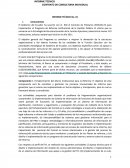 Informe tecnico consultoria