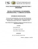 NECTAR DE MELON Y AGUAYMANTO