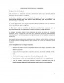 DIRECCION DE PROTECCION CIVIL Y BOMBEROS.