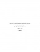 Integración de Sistema de Gestión de Residuos Generales. Riles, Riles y Emisiones Gaseosas.